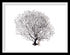 black sea fan white landscape frame by peek a blue